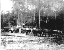 Logging with oxen