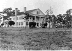 Hecker mansion (Tannenheim) (click for full size image)