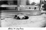 Apparently the varmits can't read (click for larger image)